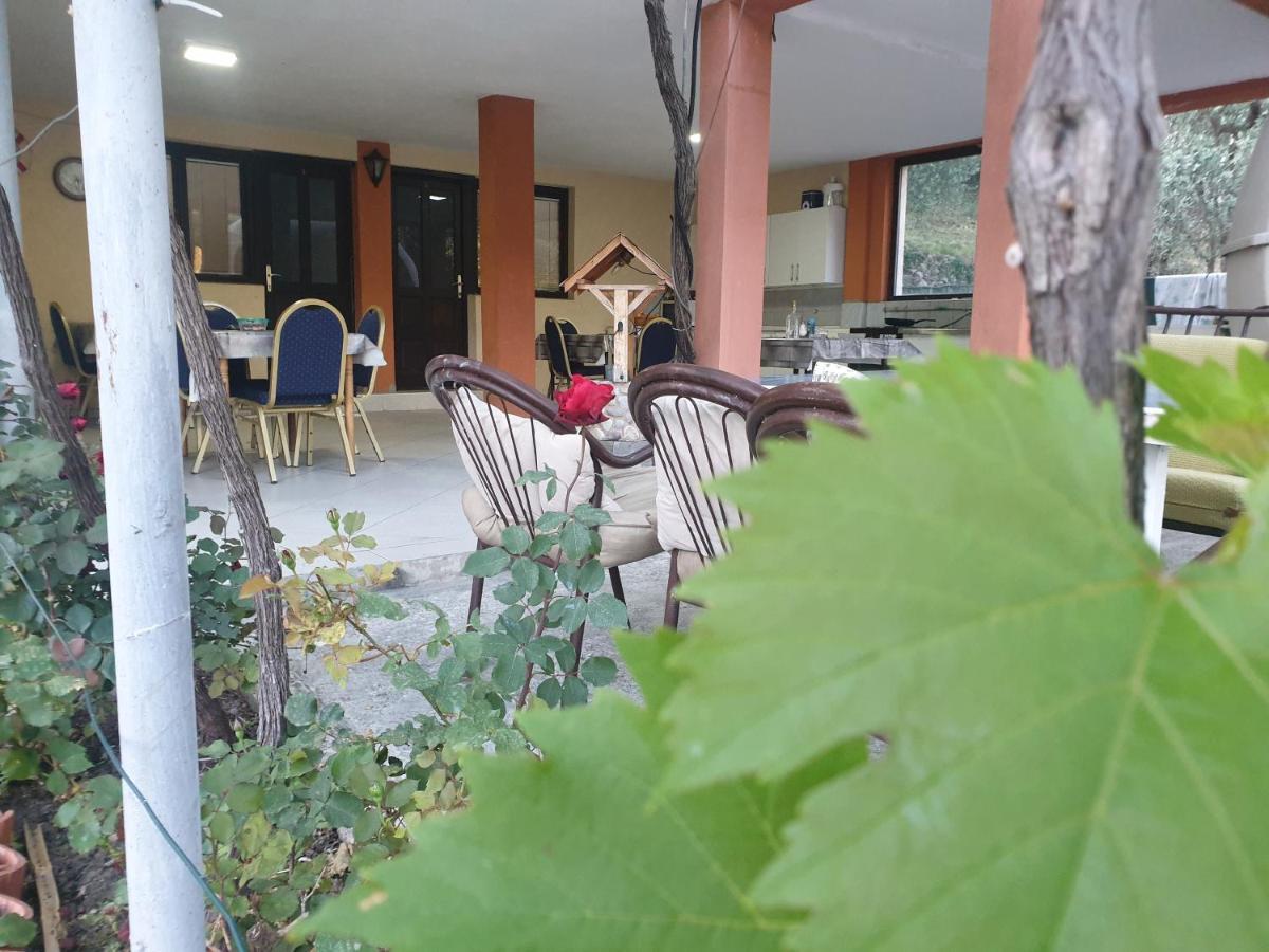 Mijailovic Apartmani Kaluđerac Eksteriør bilde
